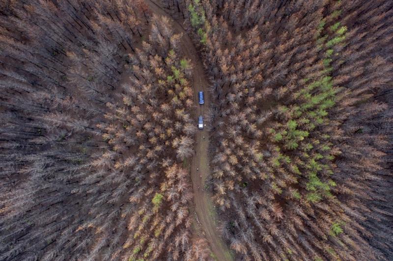 Vista aérea de uma área florestal destruída por um incêndio de grandes proporções cerca de 350 quilômetros ao sul de Santiago, em 23 de junho de 2017. Martin BERNETTI / AFP